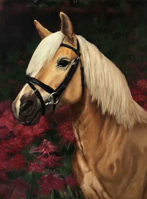 Horse Portrait Pastel, Commission